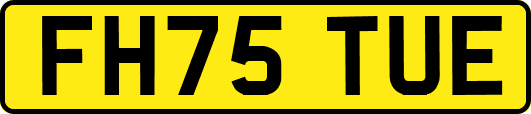 FH75TUE