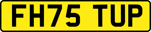 FH75TUP