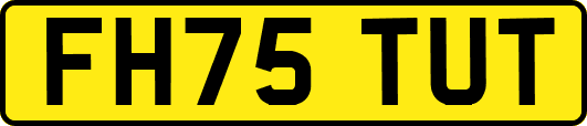 FH75TUT