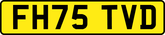 FH75TVD