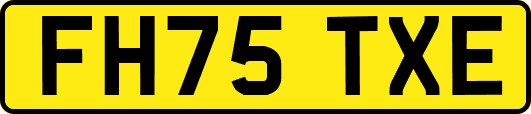 FH75TXE