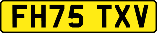 FH75TXV