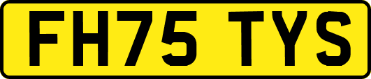 FH75TYS