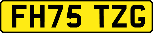 FH75TZG