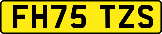 FH75TZS