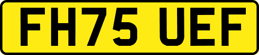 FH75UEF
