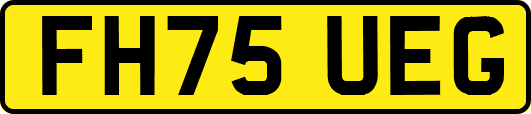 FH75UEG
