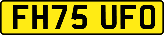 FH75UFO