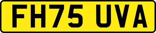 FH75UVA