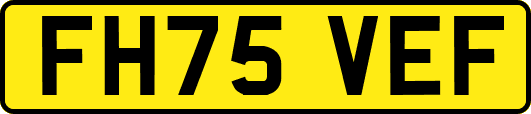 FH75VEF