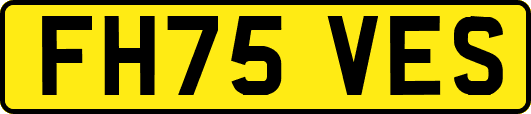 FH75VES