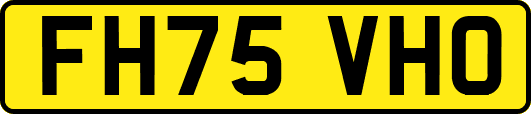 FH75VHO