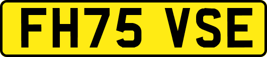 FH75VSE