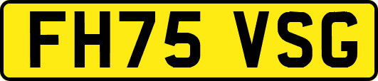 FH75VSG