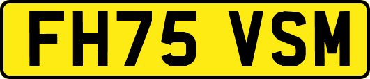 FH75VSM