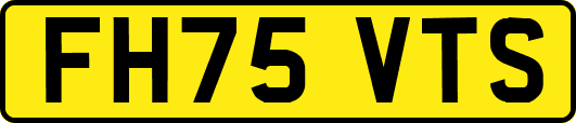 FH75VTS