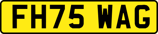 FH75WAG