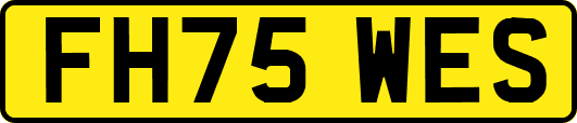 FH75WES