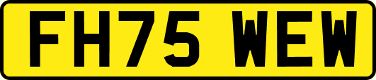 FH75WEW