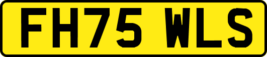 FH75WLS