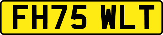 FH75WLT