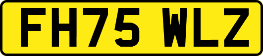 FH75WLZ
