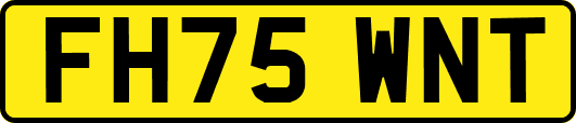 FH75WNT