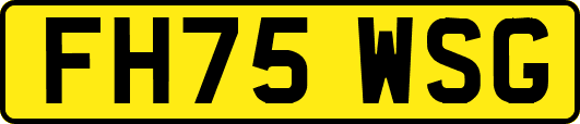 FH75WSG