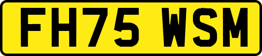 FH75WSM