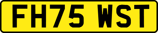 FH75WST