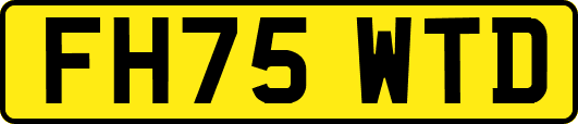 FH75WTD