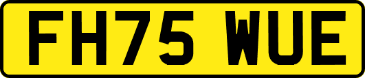 FH75WUE