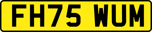 FH75WUM