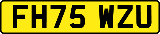 FH75WZU