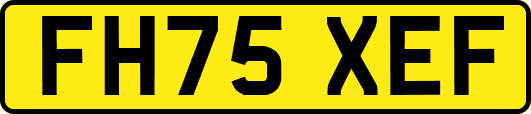 FH75XEF