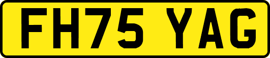 FH75YAG