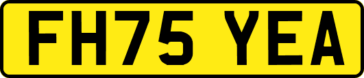 FH75YEA