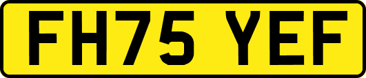 FH75YEF