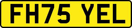 FH75YEL