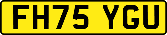FH75YGU
