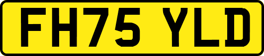 FH75YLD