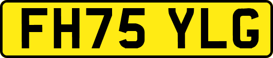 FH75YLG