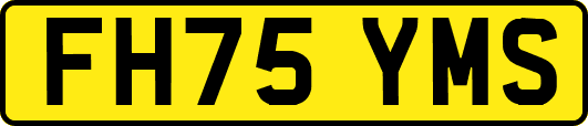 FH75YMS