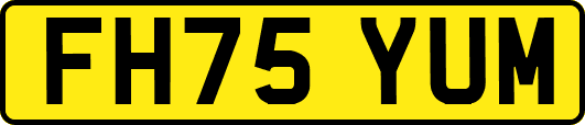 FH75YUM