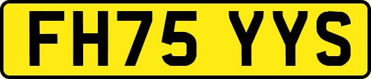 FH75YYS