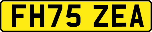 FH75ZEA