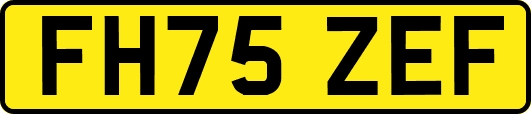 FH75ZEF