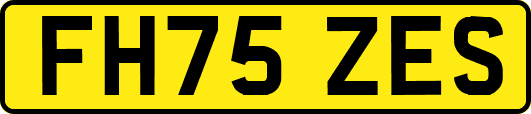 FH75ZES