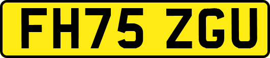 FH75ZGU