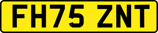 FH75ZNT
